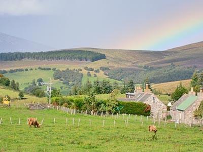 Honey Cottage Auchnarrow Exterior foto